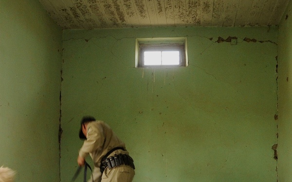 Iraqi Dog Handlers