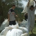 Supplies Distribution