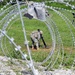 Bandits Conduct Mortar Live Fire Exercises