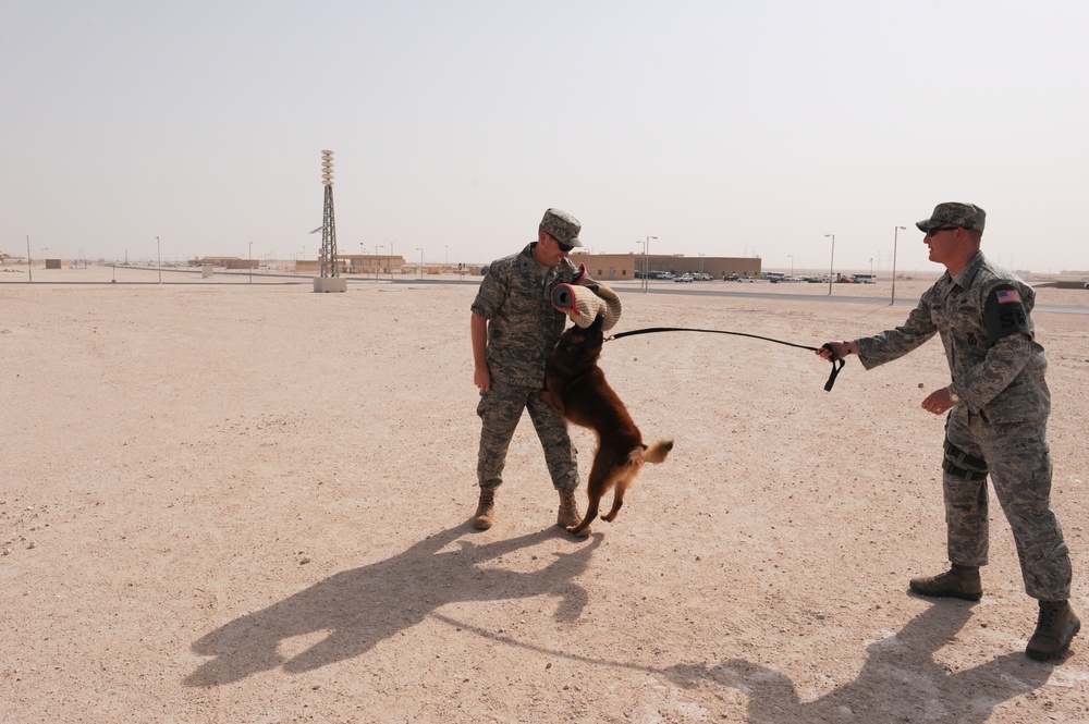 Defending the Force With Bite