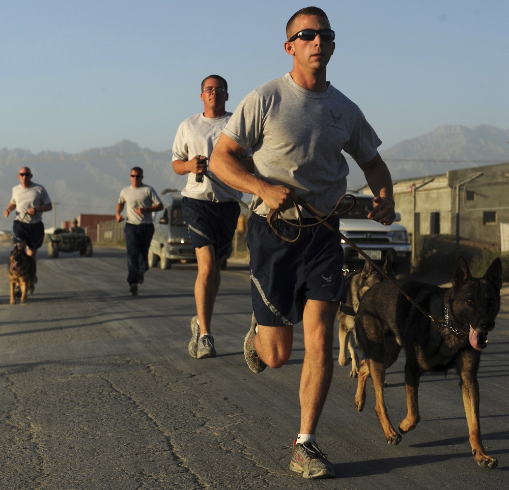Dog Handler Team 'lose an Airman'