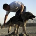 Dog handler team 'lose an Airman'