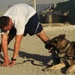 Dog handler team 'lose an Airman'