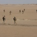 22nd MEU Lima Company dismounts in desert during sustainment training