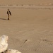 22nd MEU Lima Company dismounts in desert during sustainment training