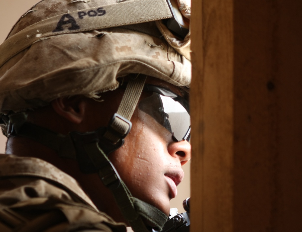 22nd MEU Lima Company dismounts in desert during sustainment training