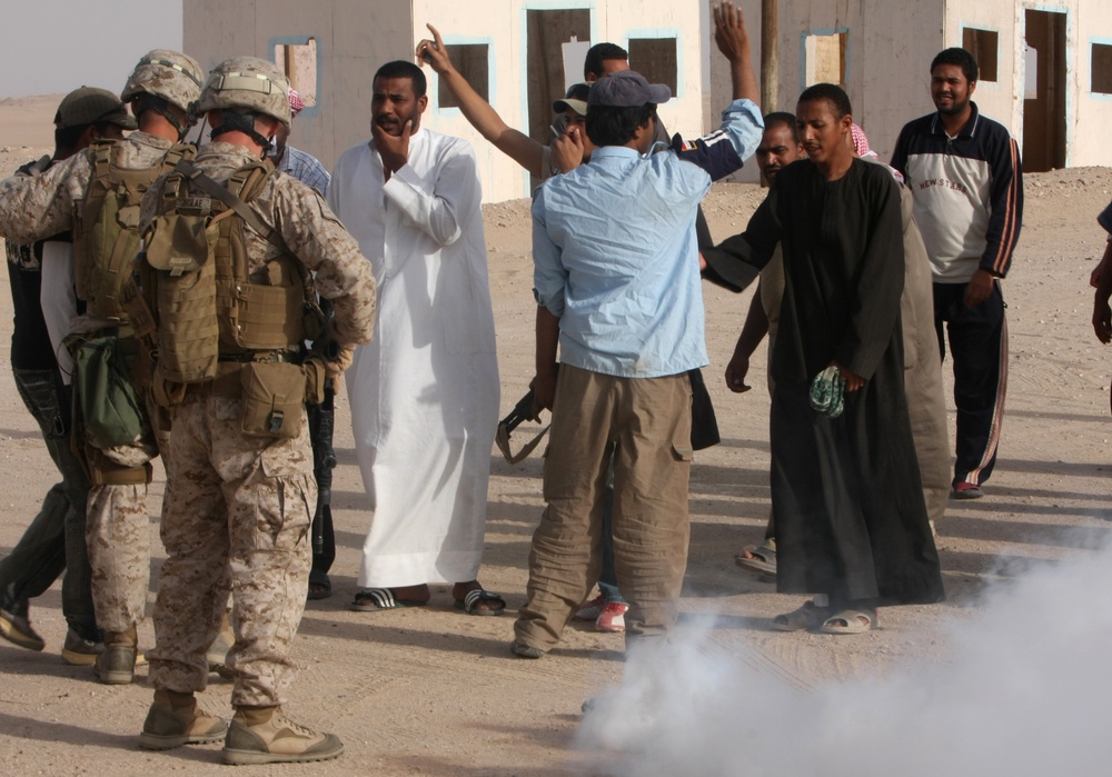 22nd MEU Lima Company dismounts in desert during sustainment training