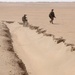 22nd MEU Lima Company dismounts in desert during sustainment training