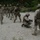 MARSOC enablers shoot to skill