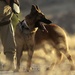 Iraqi dog handlers patrol Mosul