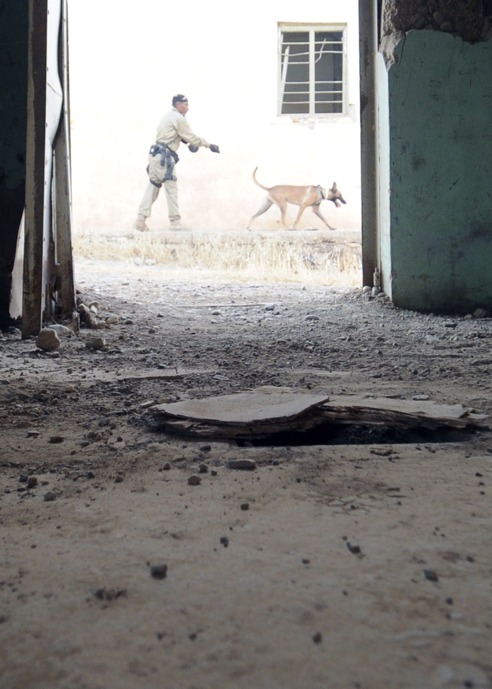 Iraqi dog handlers patrol Mosul