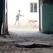 Iraqi dog handlers patrol Mosul