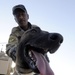 Iraqi dog handlers patrol Mosul