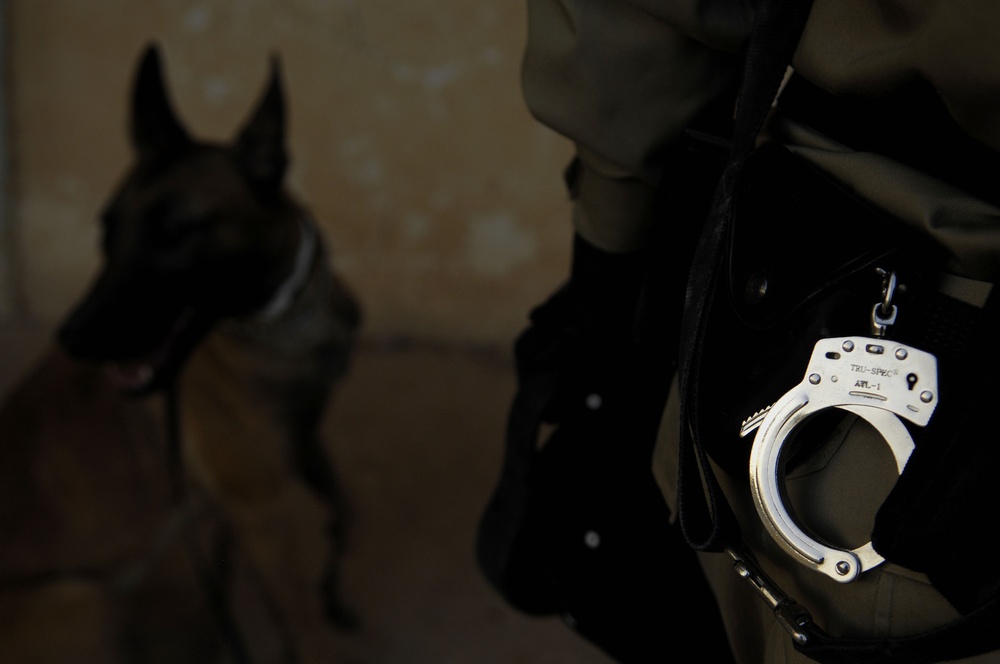 U.S. provides bomb dogs, training to Iraqi police