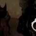 U.S. provides bomb dogs, training to Iraqi police