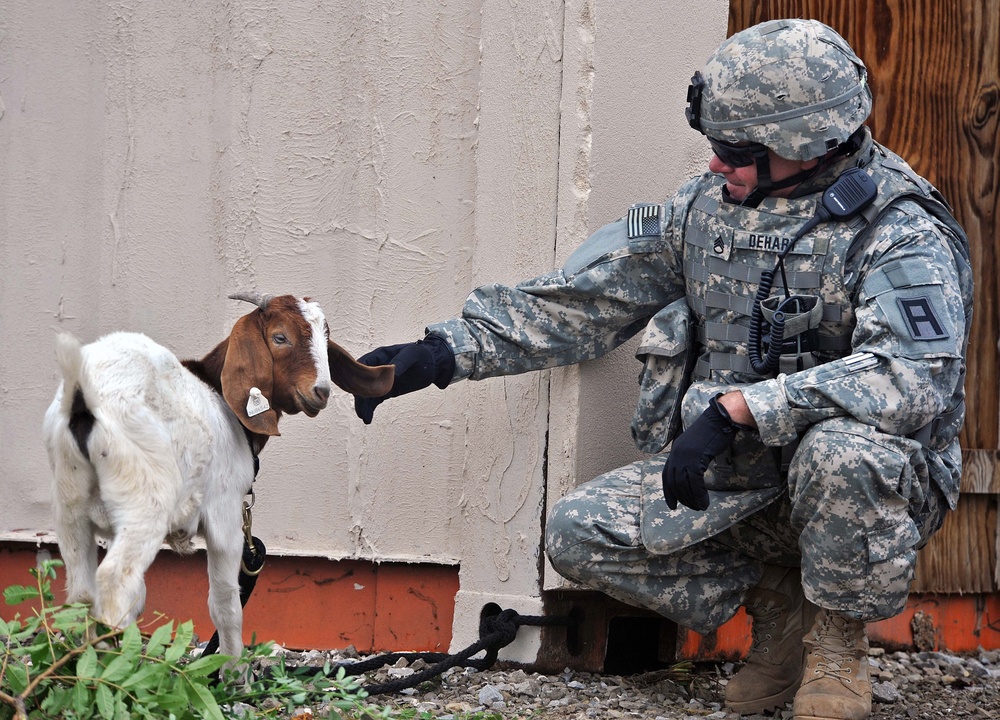 Indianapolis, Ind., Headquartered Guard Unit on Brink of Deploying