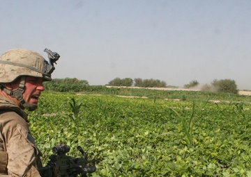 2/8 Marines engage in six-hour firefight with Taliban insurgents