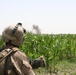 2/8 Marines engage in six-hour firefight with Taliban insurgents