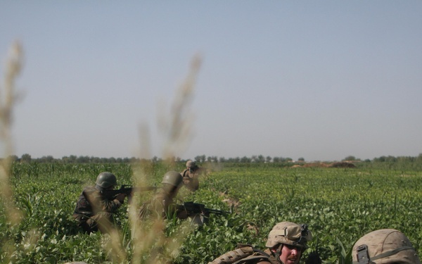 2/8 Marines engage in six-hour firefight with Taliban insurgents