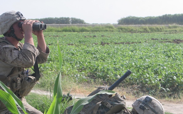 2/8 Marines engage in six-hour firefight with Taliban insurgents