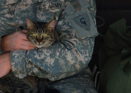 Your pet and your deployment