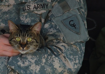 Your pet and your deployment