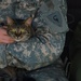 Your pet and your deployment