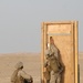 Combat engineers training in Kuwait