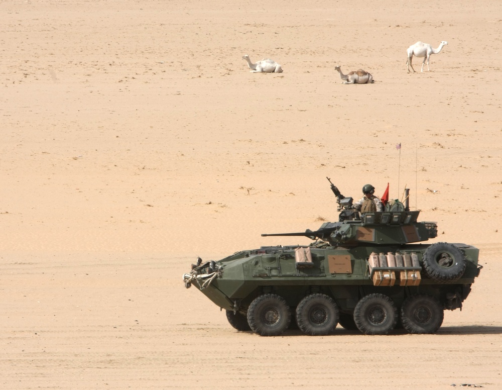 LAR cuts up Kuwaiti desert with chain gun