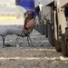 Turkish truck drivers