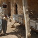 Iraqi farmers &quot;buzzing&quot; their way to self-sufficiency