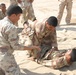 563rd MP Co. wraps up session of Train the Trainer