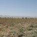Red Warriors push to secure Kandahar province