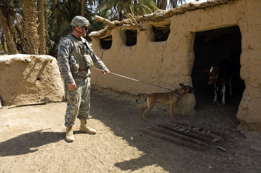 U.S., Iraqi Soldiers Patrol Ibrahim Jassim Village