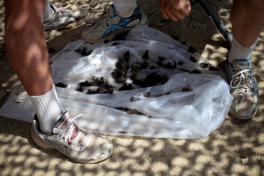 Haircuts on Combat Outpost Tangi