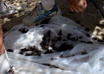 Haircuts on Combat Outpost Tangi