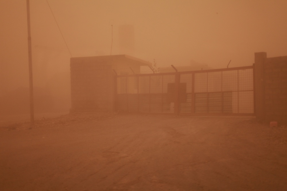 Micro-Grant Interviews