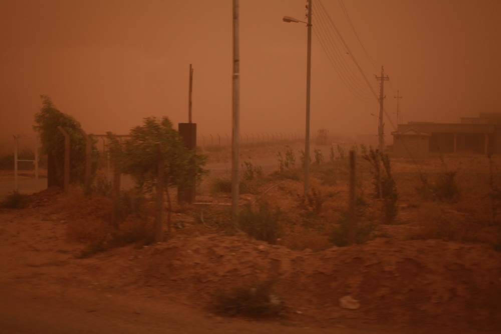 Micro-Grant Interviews