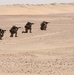 22nd MEU conducts final exercise ashore in Kuwait