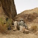 Cavalrymen patrol Paktika province