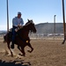 11th Armored Cavalry Regiment Horse Detachment Prepares for National Cavalry Competition