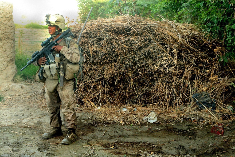 2/8 Marine Regiment Draws Enemy Out to Fight