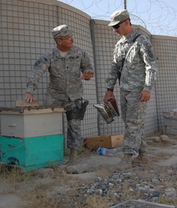 Tennessee Guard non-commissioned officer Shares Knowledge in Afghanistan