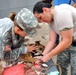 APS Swift Army Veterinary Team in Liberia