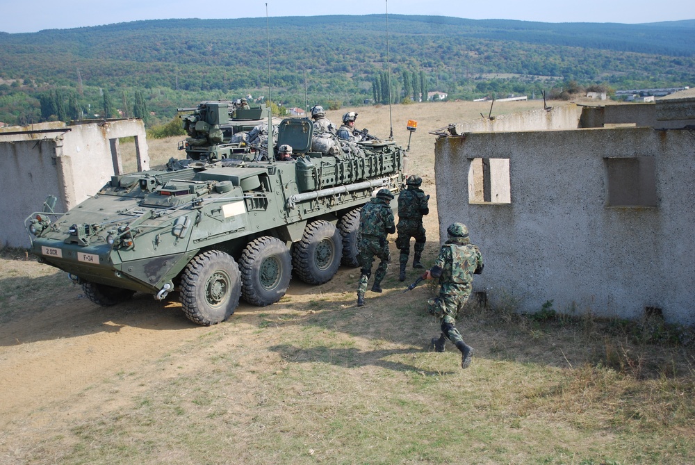 U.S. and Bulgarian Forces Conduct Raid Training on a Mock Village With Strykers at Novo Selo Training Area