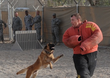 Chaplain Veers From Straight, Narrow Care