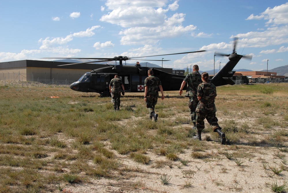 Vigilant Guard 2009