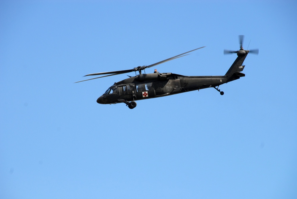 Vigilant Guard 2009