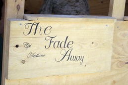 The Fade Away