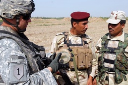 Joint mission uproots, disrupts insurgent activities